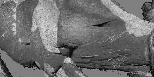 eric filion nokami Photogrammetry